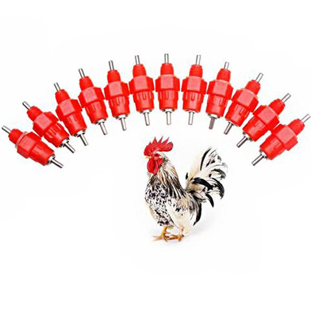Chicken Nipple Drinker - Bebedero de Agua para Aves de