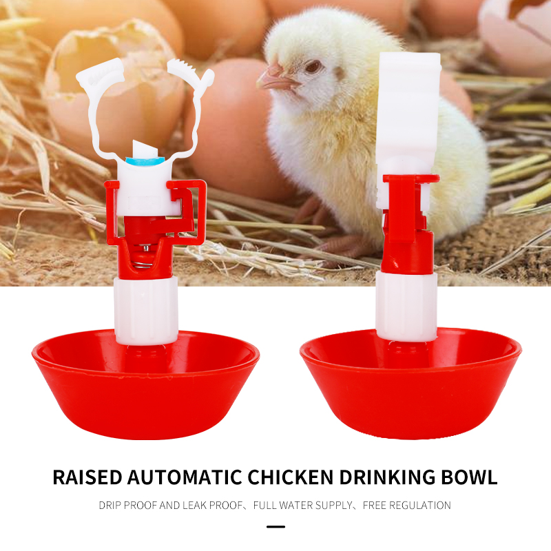 Chicken Nipple Drinker - Bebedero automático de agua para pollos