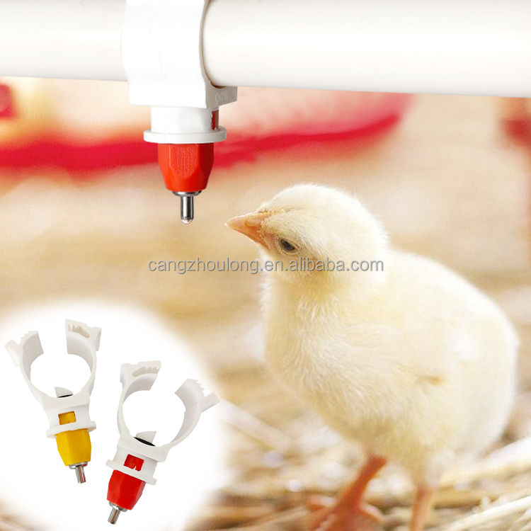 Bebedero Automático para Pollo - Chicken Nipple Drinker reseña y precio