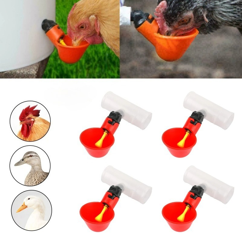 4 Bebederos Automáticos para P - Chicken Nipple Drinker reseña y precio