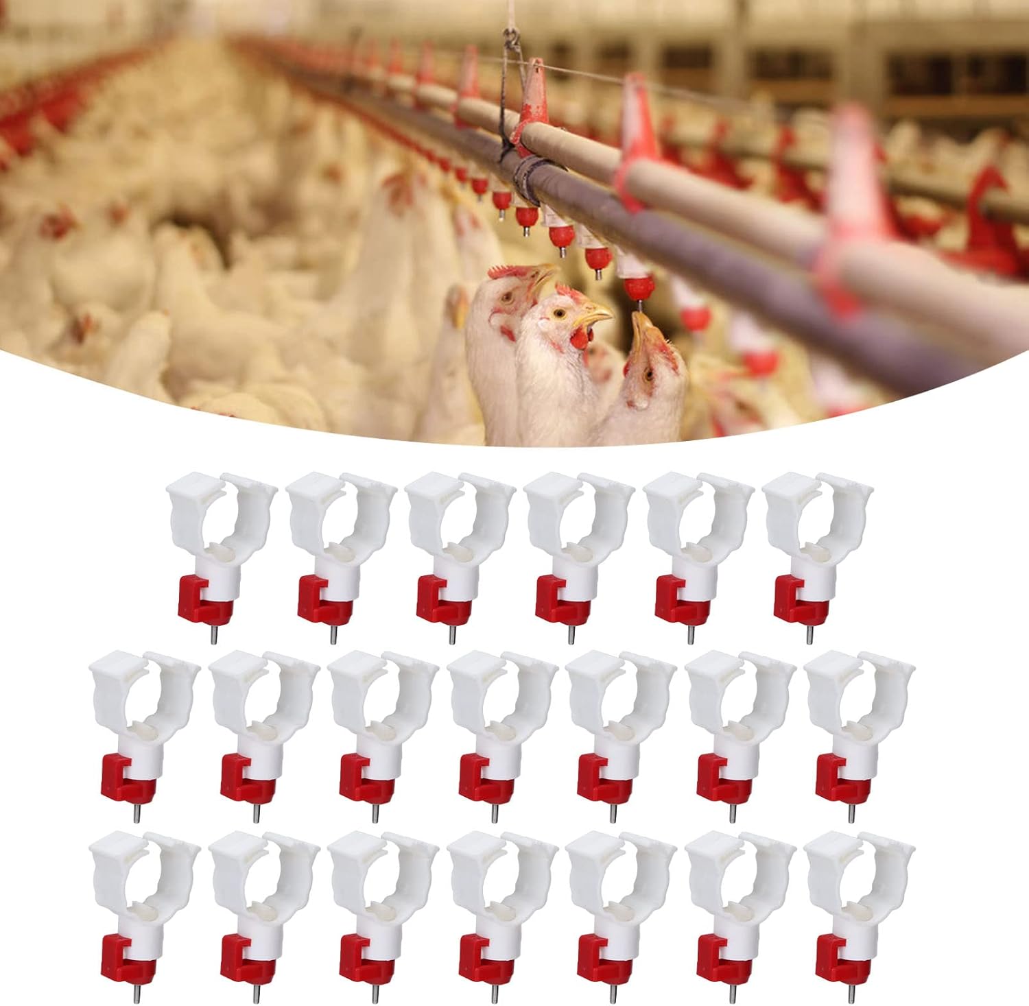 Bebedero automático de tetina  - Chicken Nipple Drinker reseña y precio