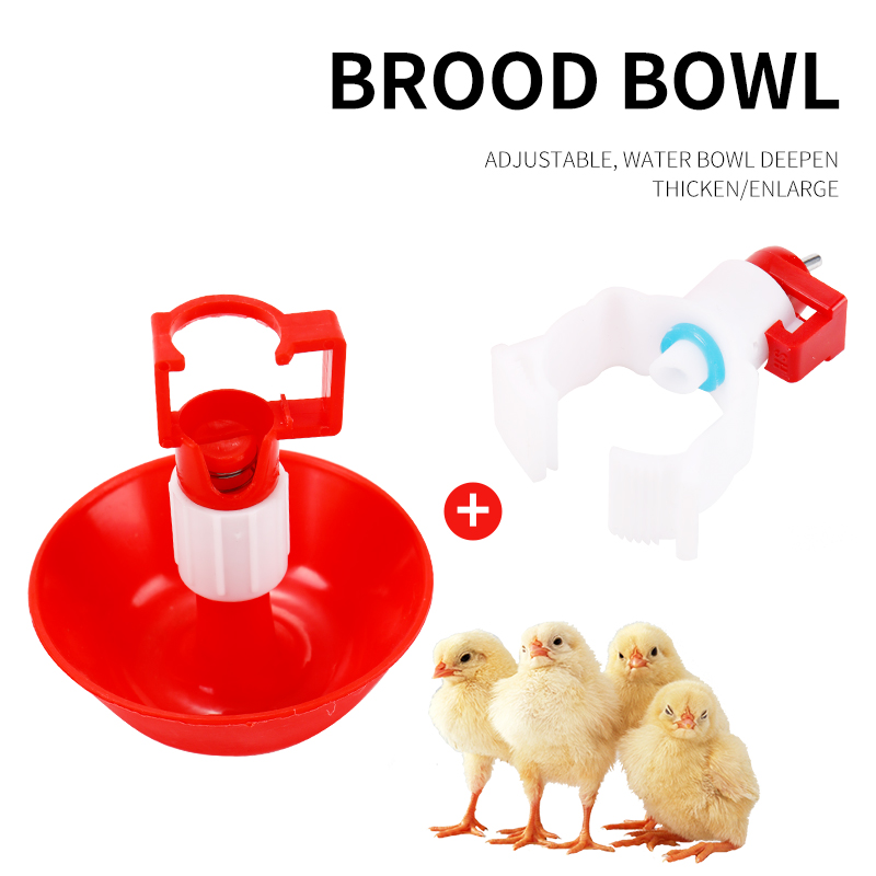 Bebedero automático de agua pa - Chicken Nipple Drinker reseña y precio